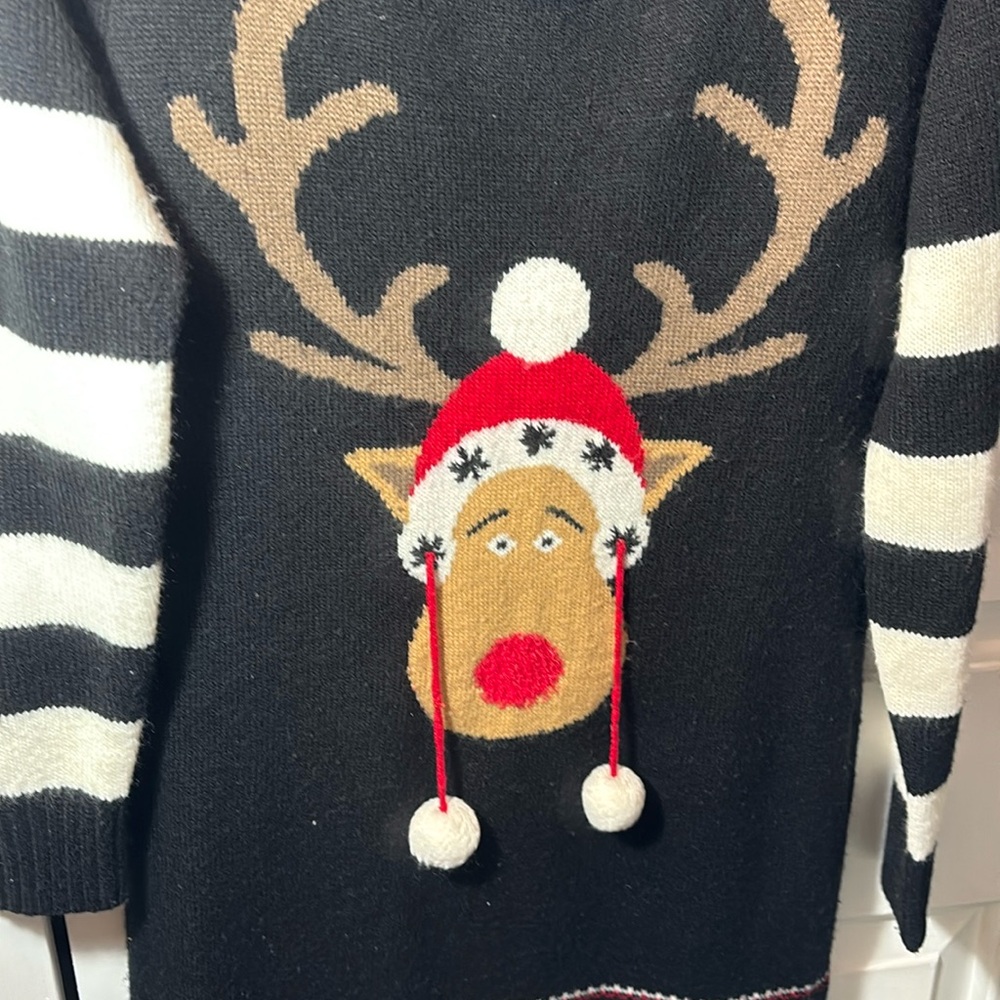 BLIZZARD BAY CHRISTMAS SWEATER DRESS